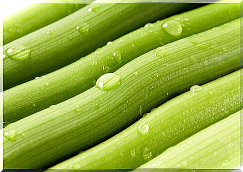 Celery is suitable for cleansing the kidneys