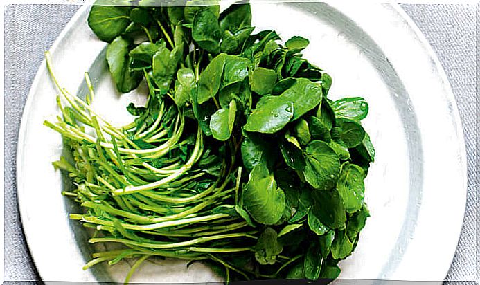 Watercress treats the kidneys