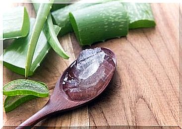 Aloe vera drink can be used both to enhance slow digestion and to improve intestinal well-being