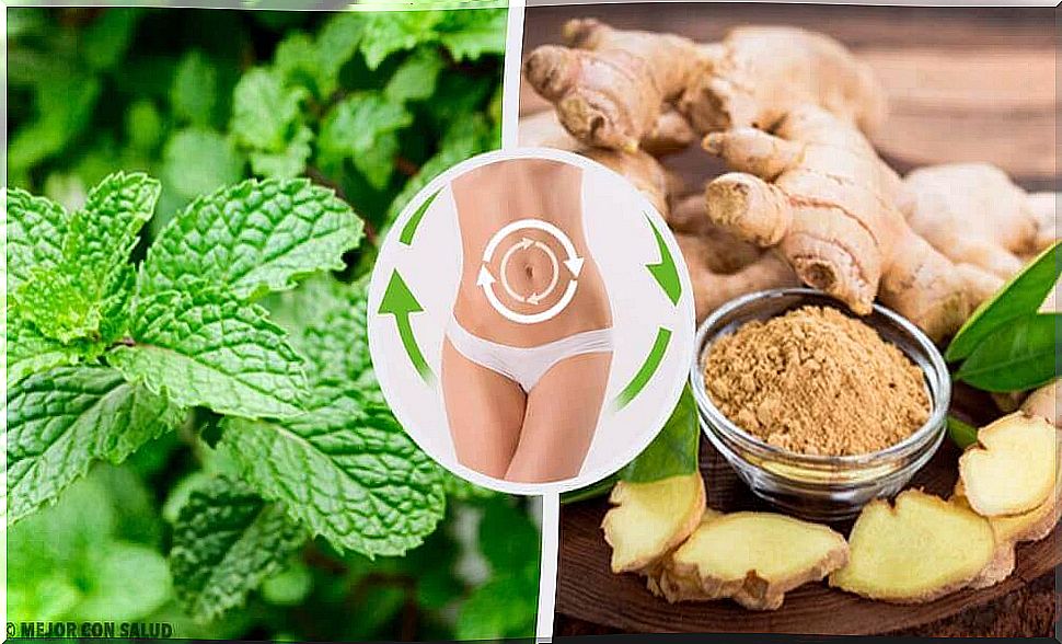 Ginger cures are recommended before starting healthy eating habits.