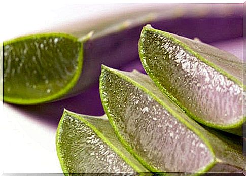 prevent hair loss with aloe vera