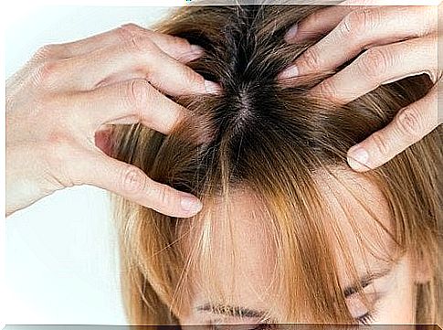 rub the scalp to prevent hair loss