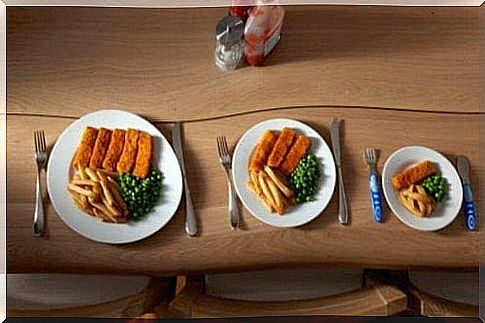 meal size