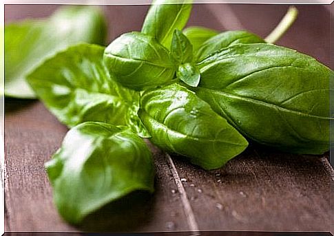 To lower cholesterol, you can enjoy an extract made from basil.