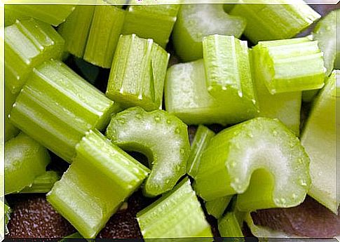 celery contains essential oils