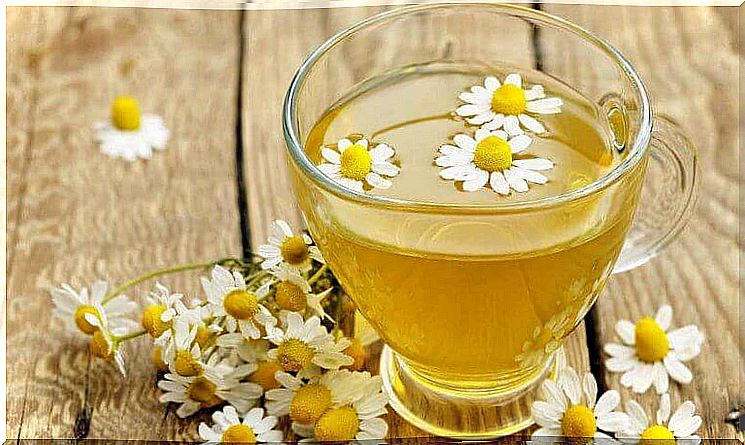 Use this natural cure for aphthae - chamomile has antiseptic and anti-inflammatory effects.