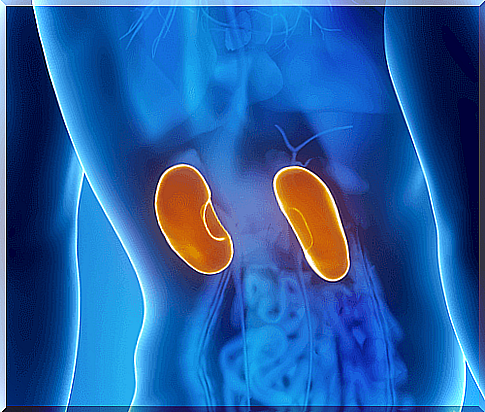 8 signs of kidney problems