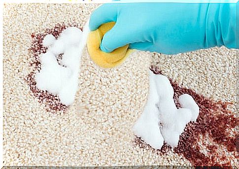 Carpet cleaning