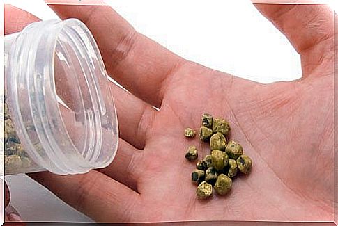 The body is overloaded with toxic gallstones