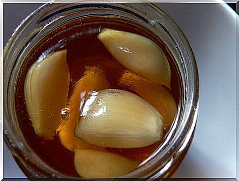 garlic honey