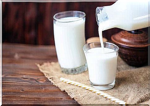 Dairy products do not prevent bone loss