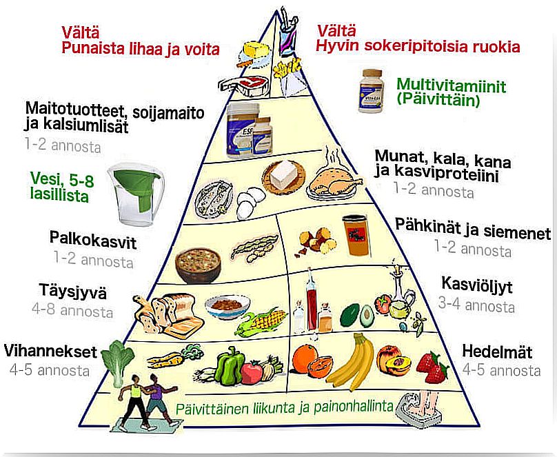 Discover the new food pyramid and improve your health