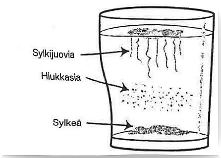 Do you have a yeast imbalance?