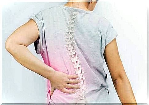 Scoliosis is a distortion of the spine