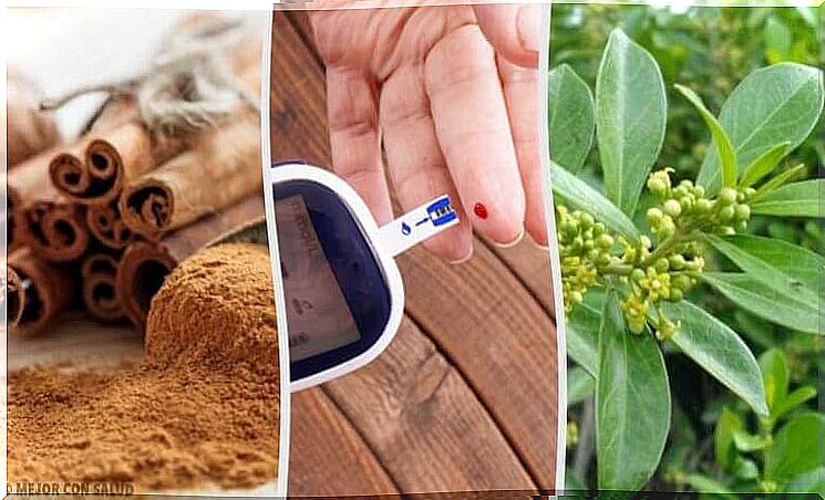 Five Medicinal Plants for Diabetes: They Work!