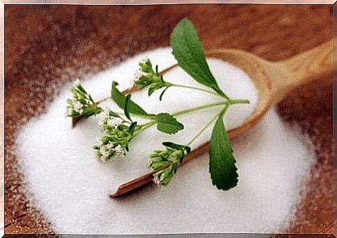 Stevia can be used as a sweetener instead of sugar or honey.