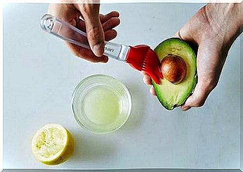 This is how you keep the avocado fresh