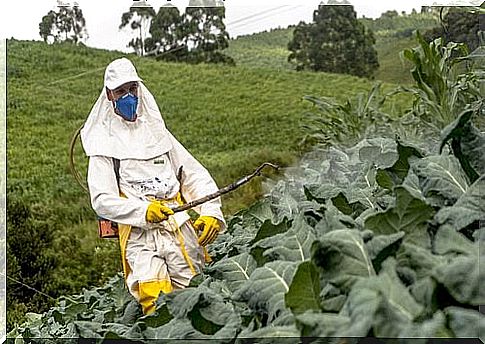 man poisons plants