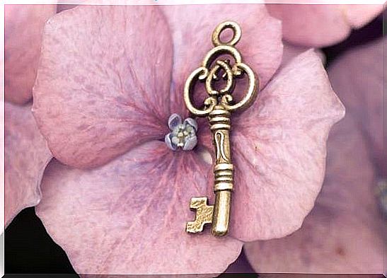 the key on the flower