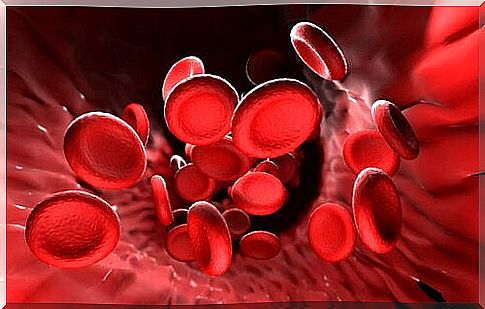 red blood cells