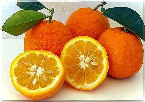 Lose weight with an orange diet