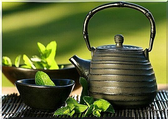 properties and health benefits of green tea