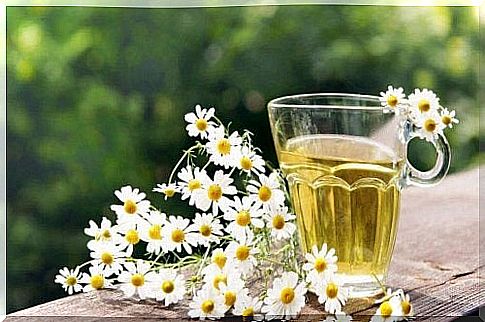 Symptoms of laryngitis can be relieved with chamomile tea