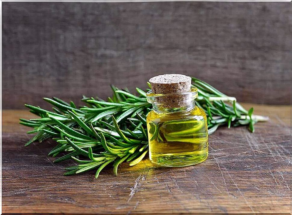 rosemary helps improve blood circulation