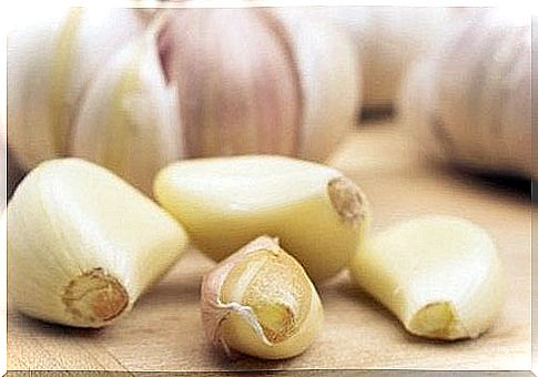 Garlic raw food