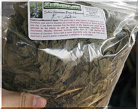 Dried sage is suitable for making sage tea