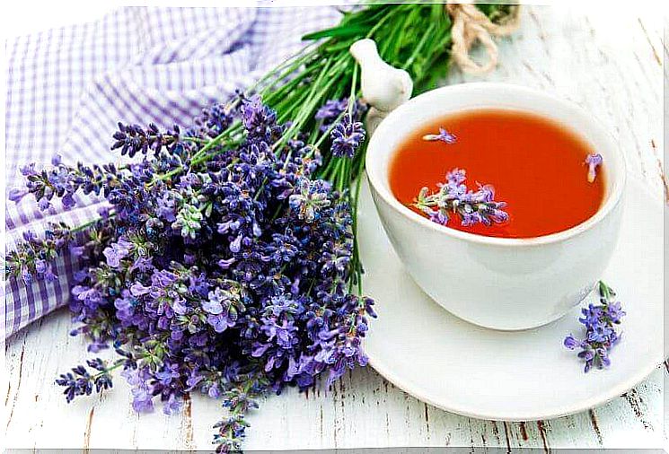 natural remedies for sleep: lavender