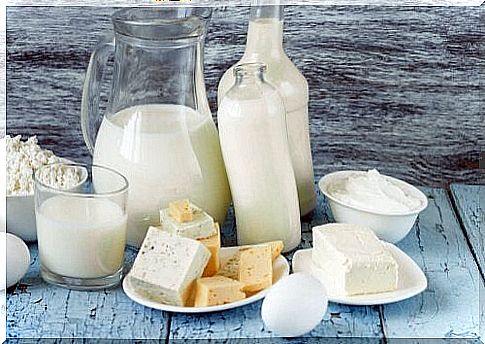 Diet to lose weight: dairy products