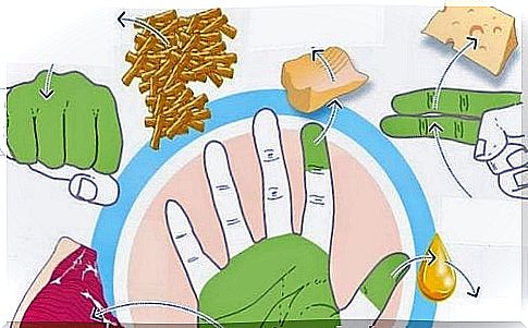 Use your hands to measure food rations