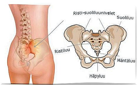 sacroiliac joints